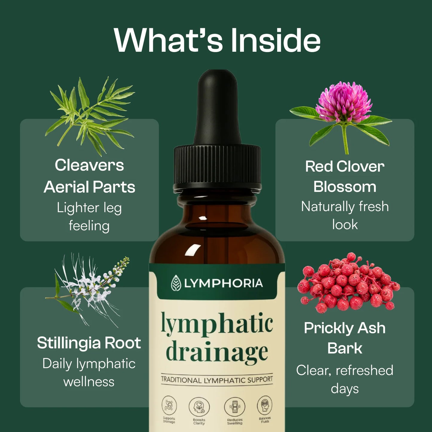 Lymphatic Detox Support Drops